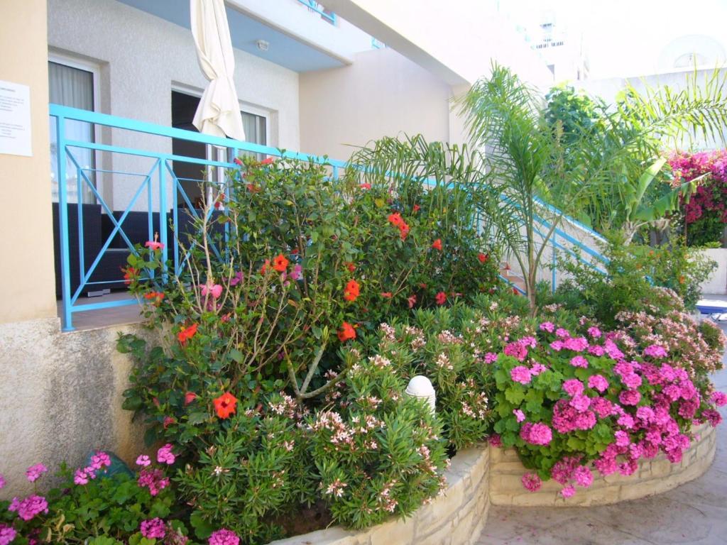 Appartement Blue Oasis Gardens à Limassol Extérieur photo